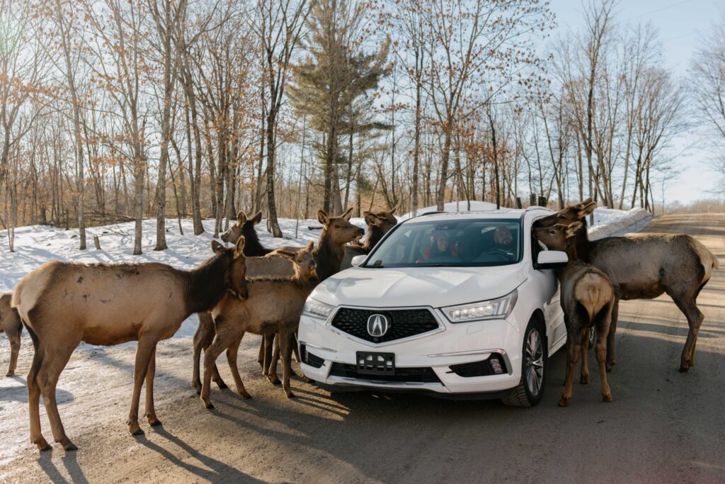 jpeg-optimizer_LD @Charlotte B (1)