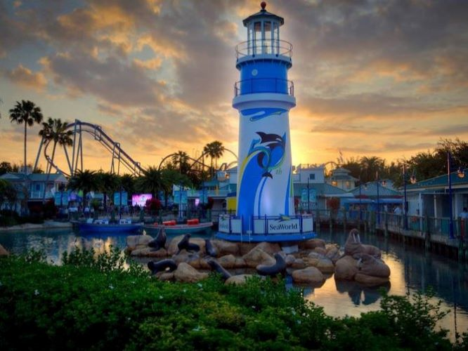 SEAWORLD