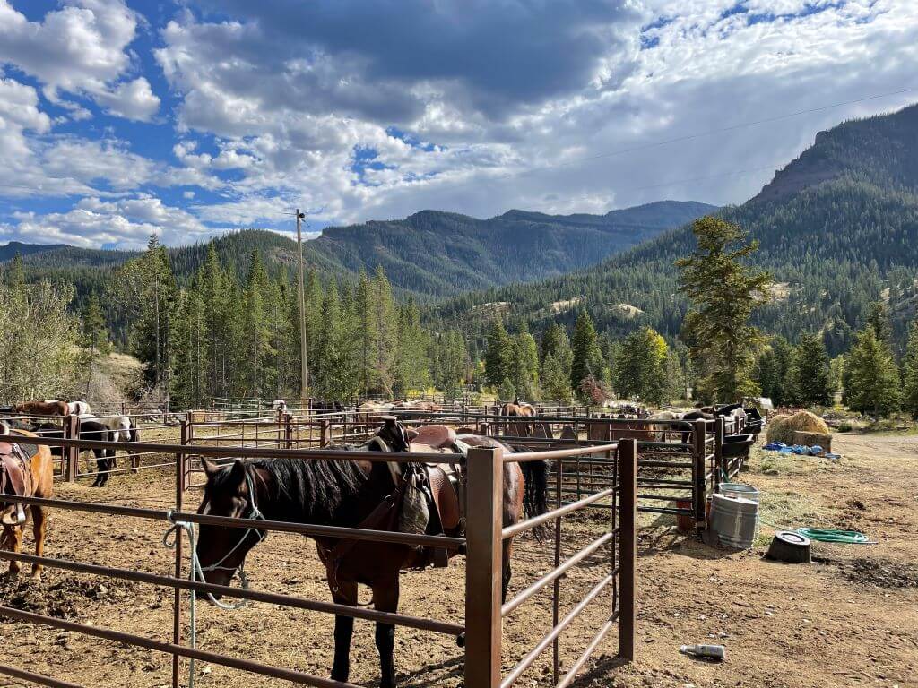 Las mejores cosas que hacer en Wyoming