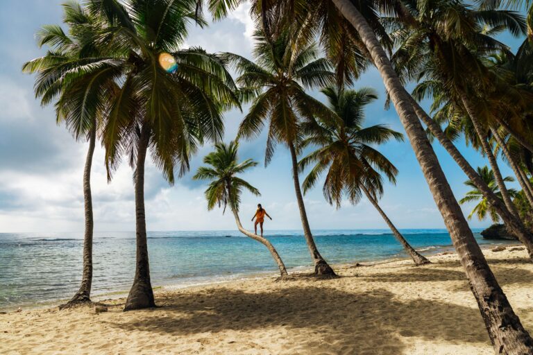 La República Dominicana es un paraíso caribeño que ofrece playas de ensueño