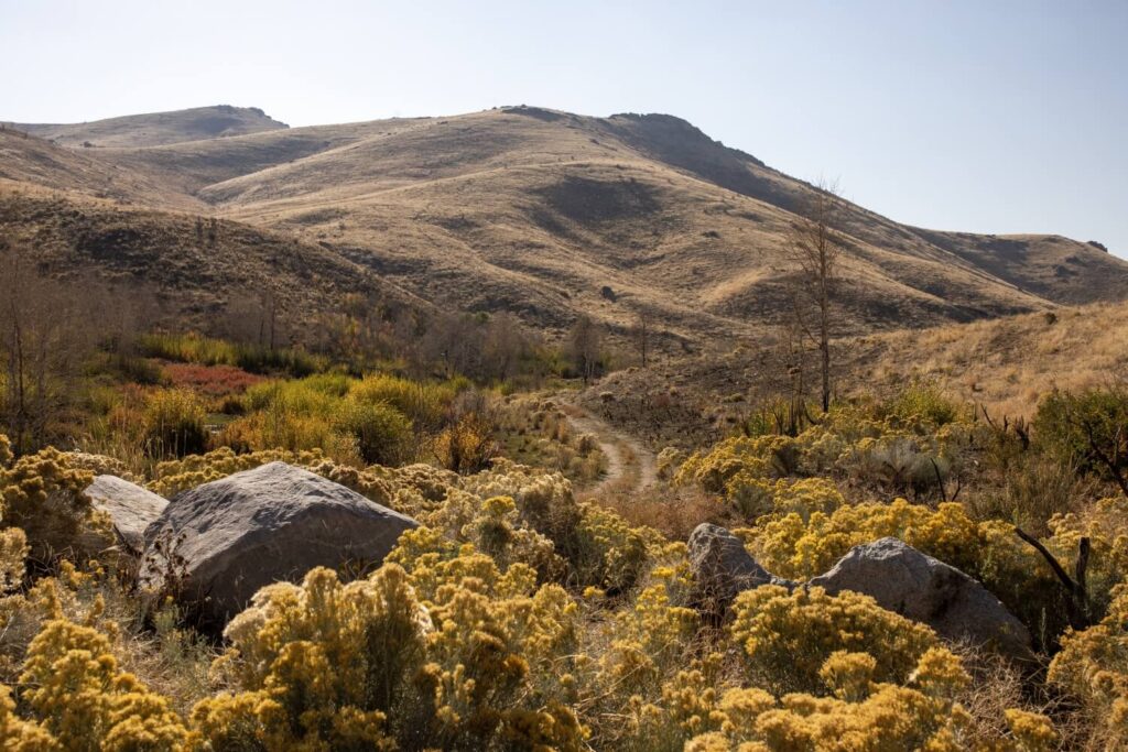 Rueda por Nevada y siente su lado salvaje y paranormal