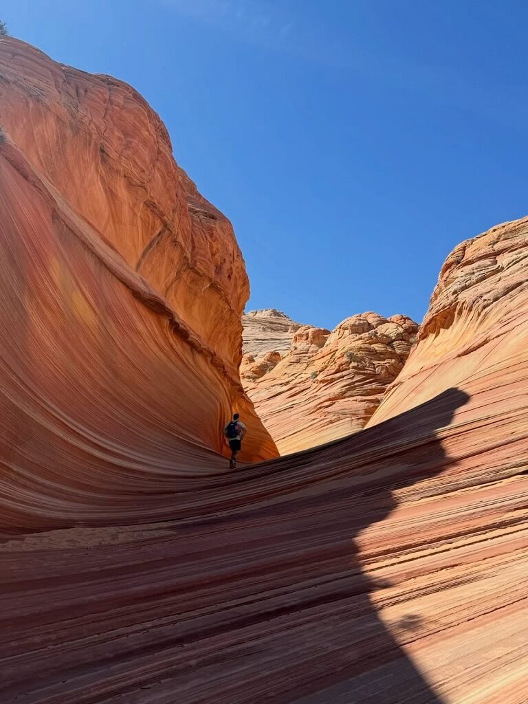 The Wave
