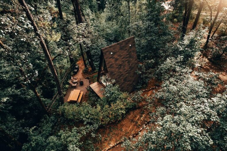 Cabaña en el bosque